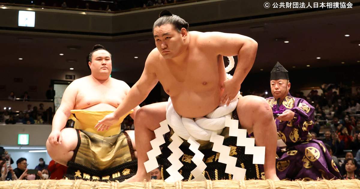 大相撲東京場所 観戦チケット